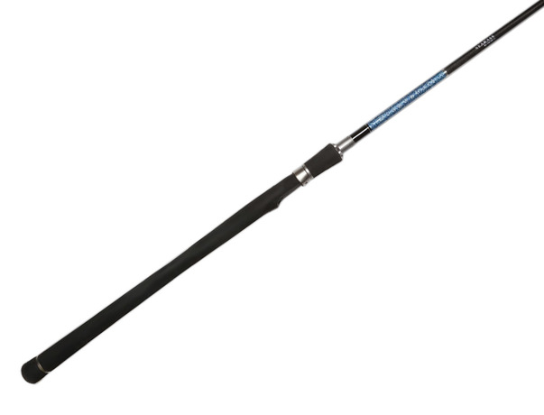 Canne Smith Dragonbait Seabass 100H