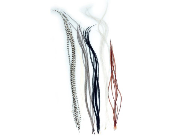 Lancettes JMC Top Grade MDC