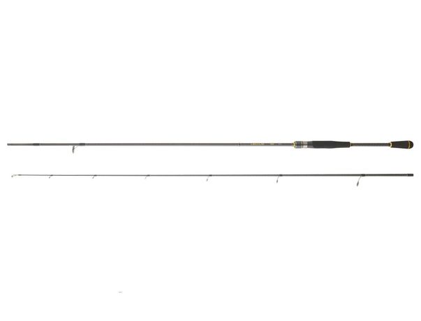 CANNE LEGALIS SQUID 2025 DAIWA