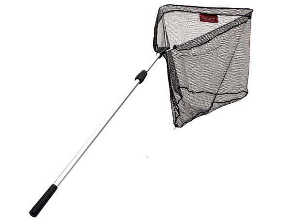 Epuisette carnassier Sert