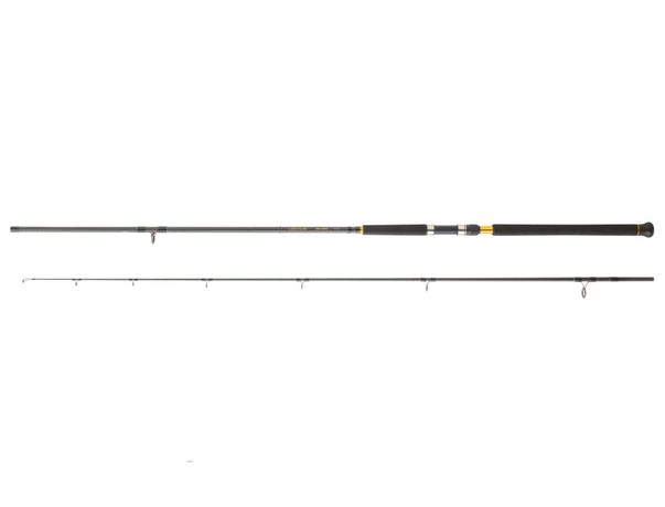 	 CANNE LEGALIS SHORE JIGGING 2025 DAIWA