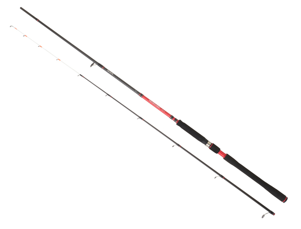 Canne Daiwa Powermesh Tenya