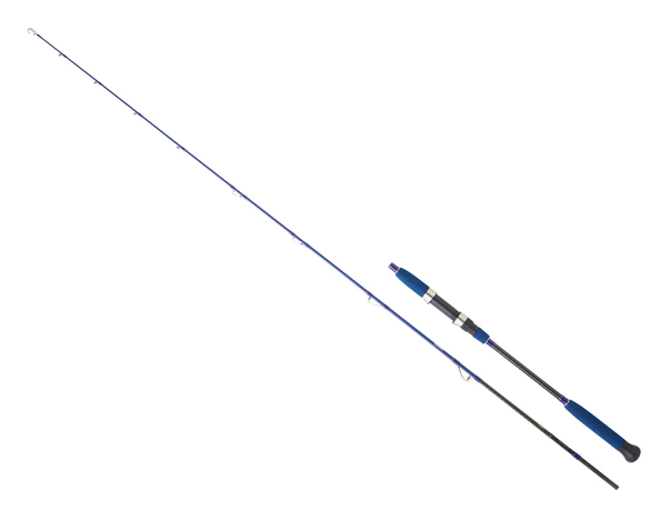 Canne Daiwa Legalis Oceano spinning