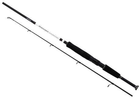 Canne Shimano Vengeance BX Sea Bass