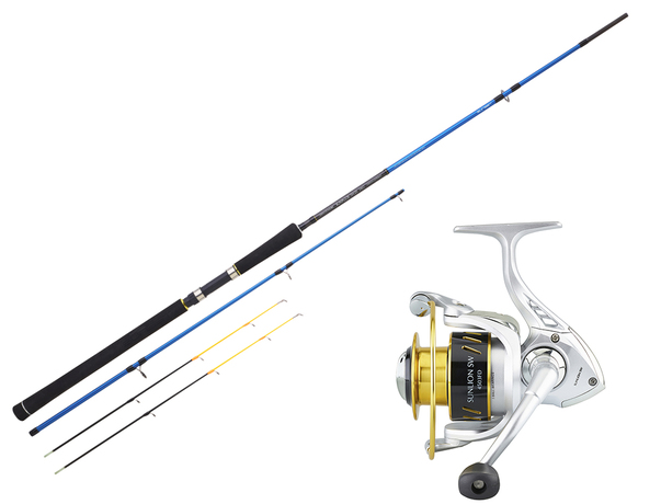 Ensemble Sunset Sunpulse SW20 + Sunlion SW 4503