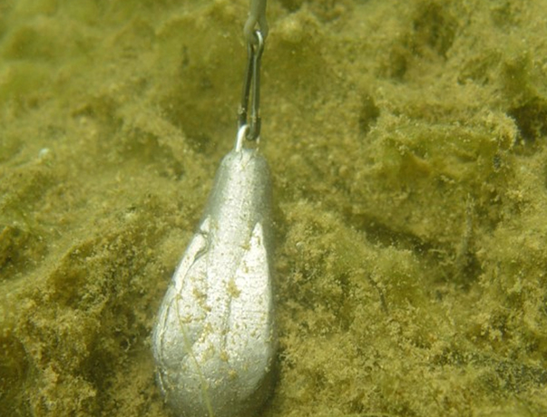 Plomb Marker Probe Lead Korda