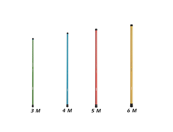 Canne téléscopique Mitchell Catch Pro