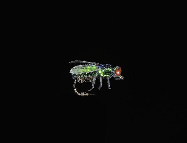 Mouche JMC noire H10