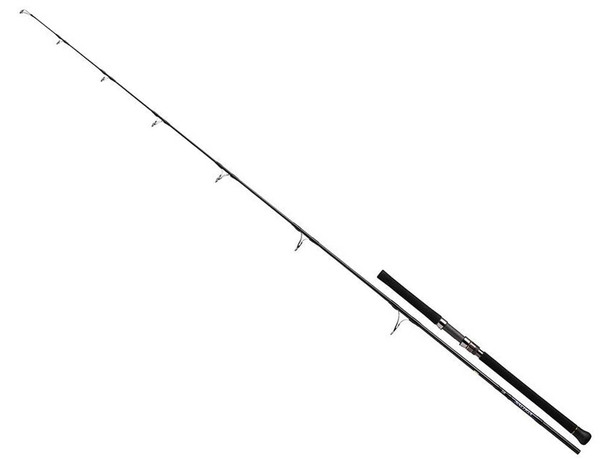 Canne Daiwa Saltiga Casting