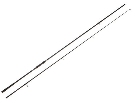 13_magister_carp1.jpg
