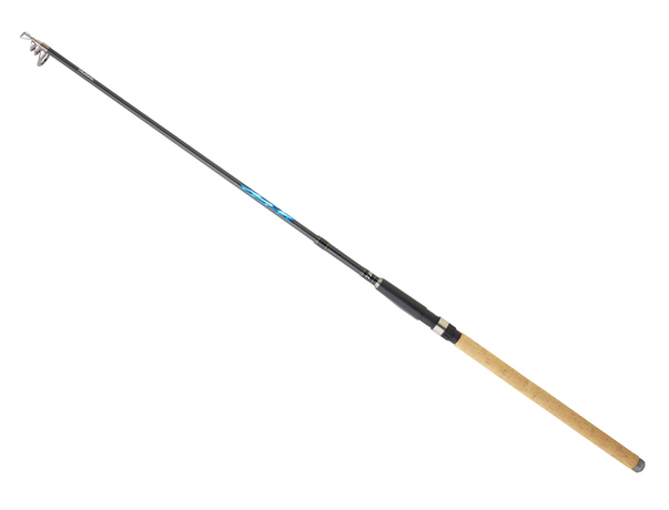 Canne téléscopique Daiwa Megaforce