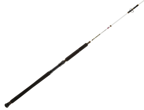 Canne Penn Battalion Tuna 2.54m 80/130g