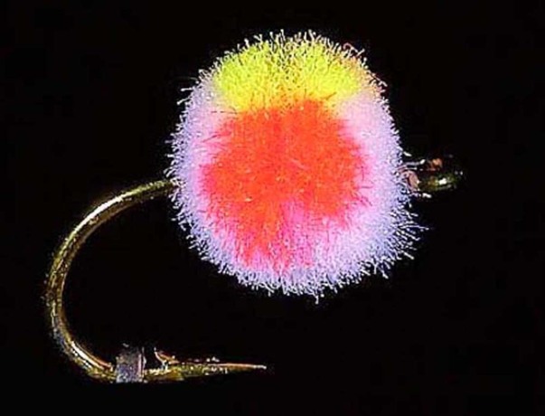 Mouche JMC Oeuf 3 H10