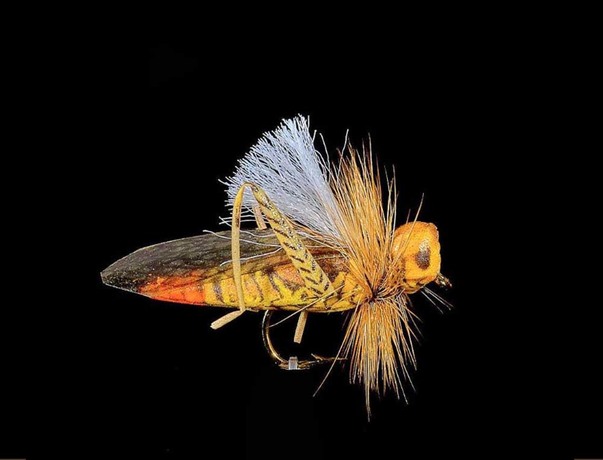 Mouche JMC sauterelle 25 H10