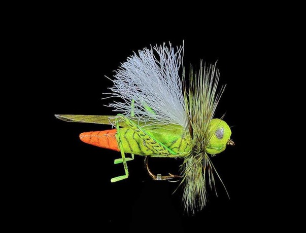 Mouche JMC sauterelle 26 H10