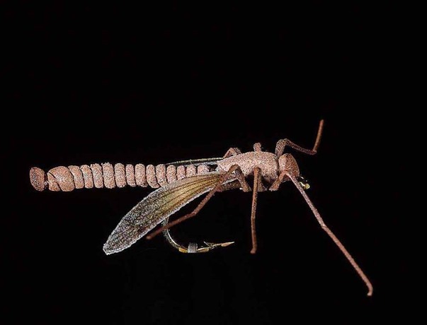 Mouche JMC cousin 20 H10