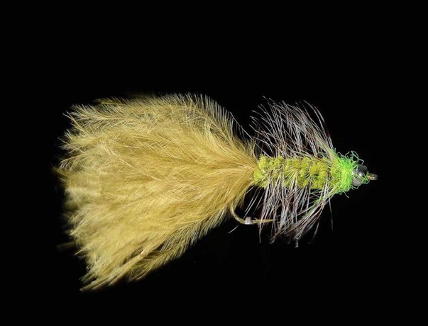 Streamer JMC Dog 4 BL H8