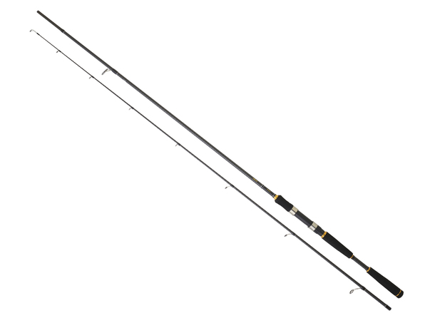 Canne Daiwa Legalis Seabass