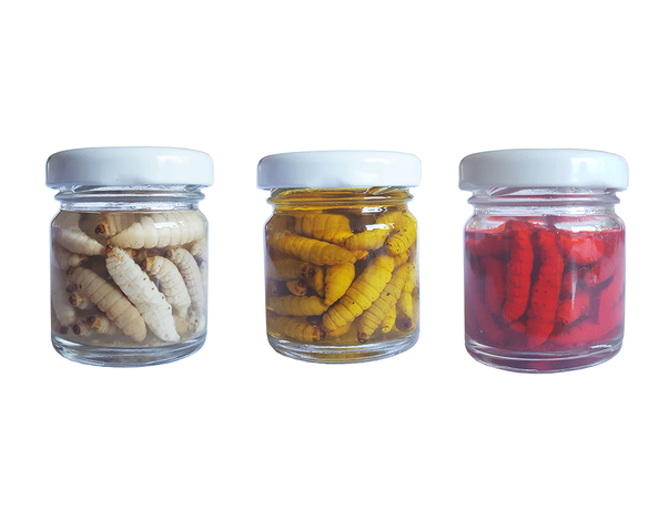 Teignes naturelles Waterqueen momifiés