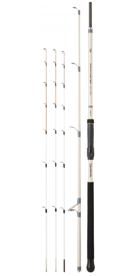 Canne Daiwa Procaster QB