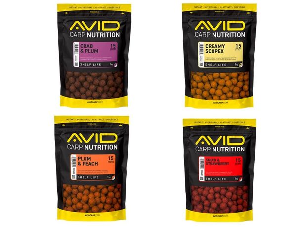 BOUILLETTE AVID CARP