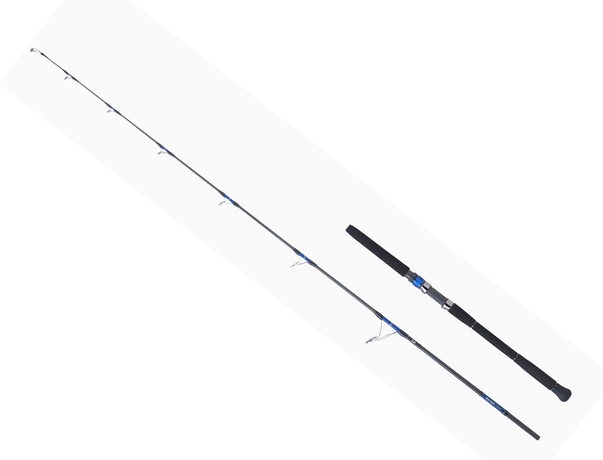 Canne Daiwa Saltiga Spinning