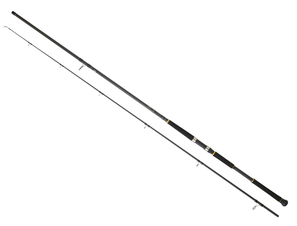 Canne Daiwa Legalis Shore Jigging