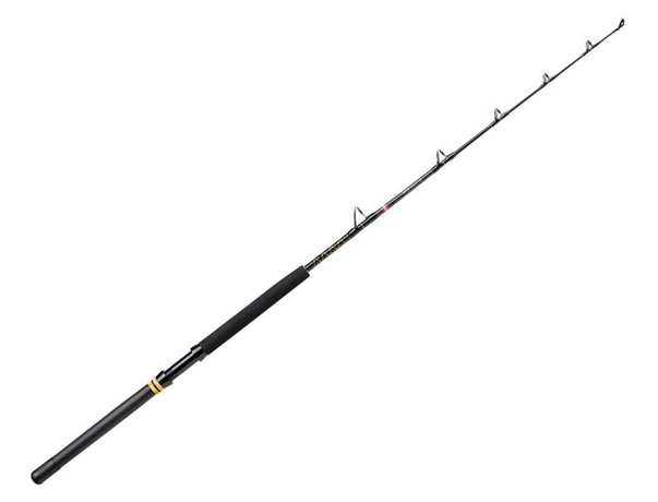 Canne Penn Squall 2 Trolling 1.68m 30-80lb