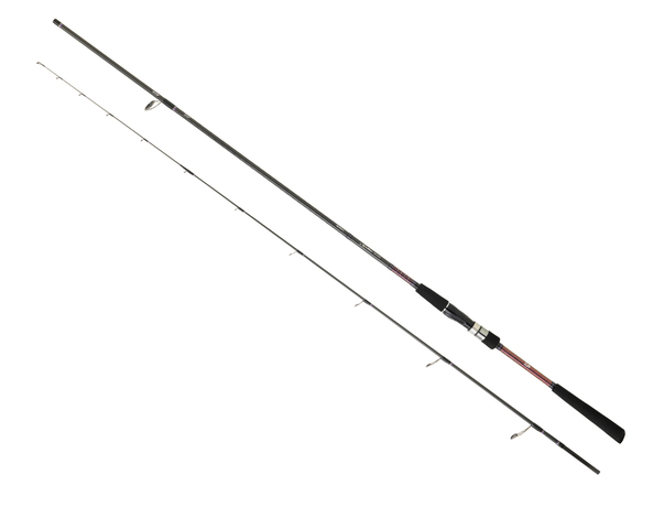 Canne spinning Daiwa Saltist Tenya