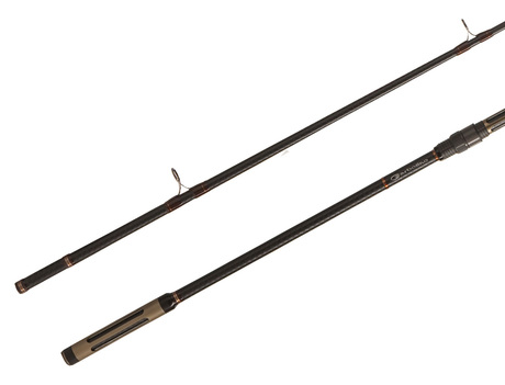 30_magister_carp_10_pieds_1.jpg