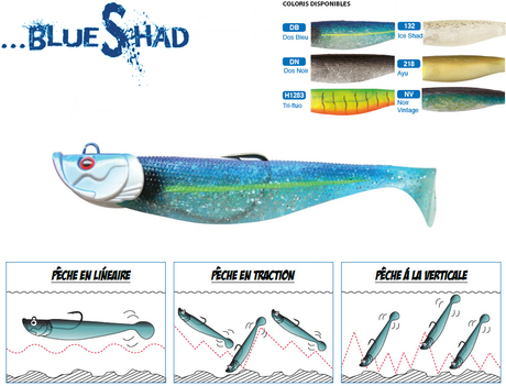 51_blue_shad.jpg