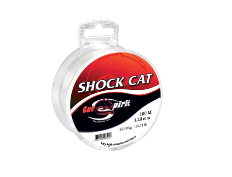 88_cat_shock_cat.jpg