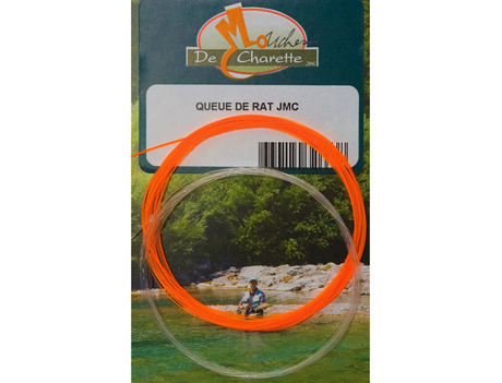 96_queue_de_rat.jpg