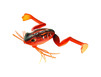 Leurre Daiwa Prorex Micro Frog 35DF - 3g