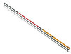 Canne Daiwa Ninja Trout