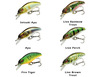 Leurre Daiwa Prorex Micro Minnow 30F-SR