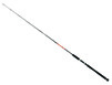 Canne Daiwa Megaforce Big Fish verticale