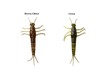 Leurre Savage Gear 3D PVC Mayfly Loose Body 5cm