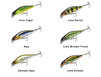 Leurre Daiwa Prorex Flat Minnow 50SS
