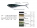 17_fins-shad.jpg