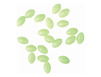 Perle Ragot Phosphorescente souple ovale