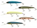 46_lb_minnow_120.jpg