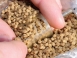 64_pellet_feeder_x_safe2.jpg