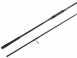 69_magister_carp2.jpg