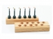 87_socle_jmc_expose_mouche.jpg