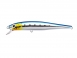 96_sea_bass_hunter_s11.jpg