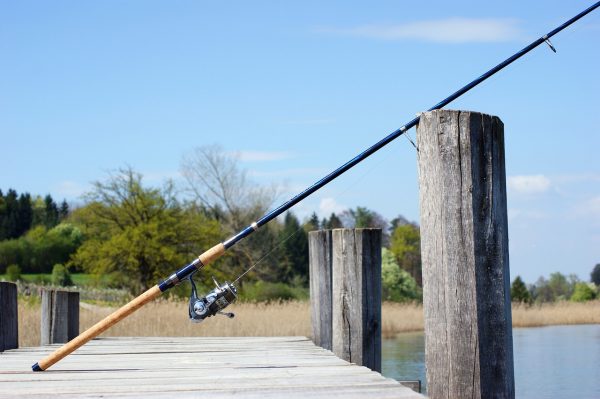 Pêche au coup : les différents types de cannes à pêche